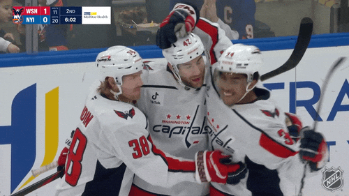 Happy National Hockey League GIF by NHL
