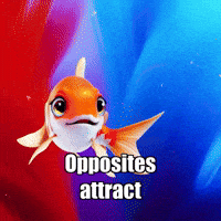 GIF by TheConfishius