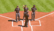 Sport Waving GIF by MLB