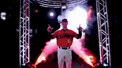 college baseball cws GIF by NCAA Championships