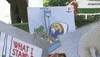protest climate change global climate strike climate protest GIF
