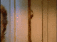 country music GIF by Toby Keith