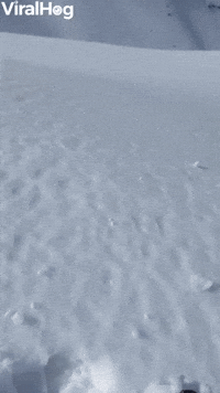 Sticky Snow Helps Snowballs Grow