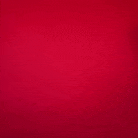 Texas Tech GIF by Texas Tech Baseball