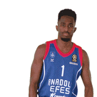 Number 1 Basketball Sticker by Anadolu Efes SK