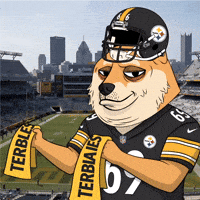 Pittsburgh Steelers Football GIF by Doge Pound