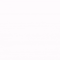 GIF by Northeast Generals