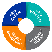 Find Your Spin Sticker by SpinbrushSmile
