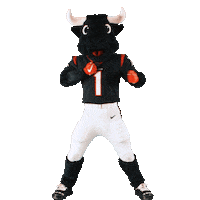 Nfl Mascot Sticker by Houston Texans