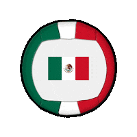 Mexico Ball Sticker by Swiss Dodgeball