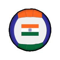 Ball India Sticker by Swiss Dodgeball