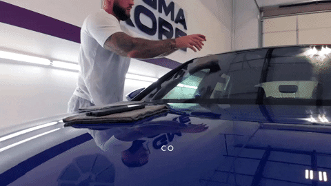 anthonytaylor-d7a1 giphyupload GIF