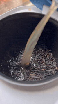 Mexican Rice, Zero Stove | Rice Robot
