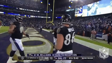 Baltimore Ravens Football GIF by NFL