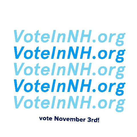 nhdemocraticparty vote election voting election day Sticker