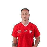 Link Switzerland Sticker by Swiss Football Association
