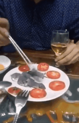 patraschew giphyupload GIF