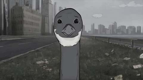 season 1 cats GIF by Animals