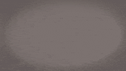 Eddietheeagle GIF by Cal State LA