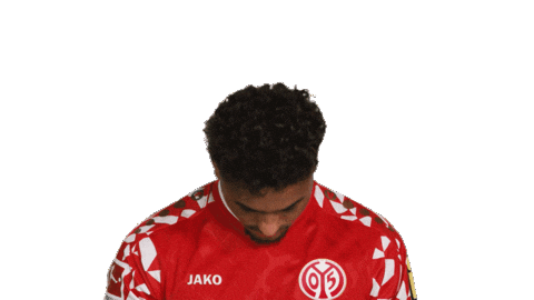 Look Up Mainz 05 Sticker by Bundesliga