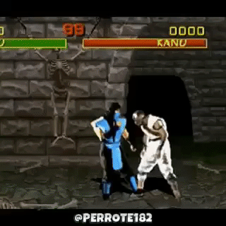sub-zero fatality GIF