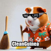 Guinea Pig Cleaning GIF by Guinea Gambino