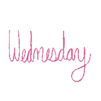 Wednesday Hump Day Sticker