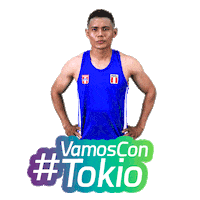Clasificados Summer Olympics Sticker by Instituto Peruano del Deporte