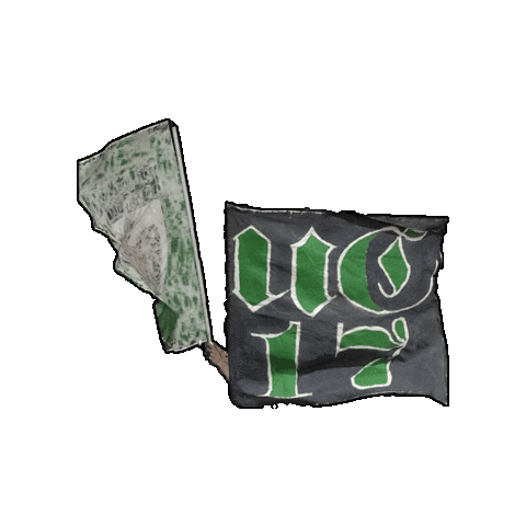 Rollhockey Sticker by RSC Cronenberg