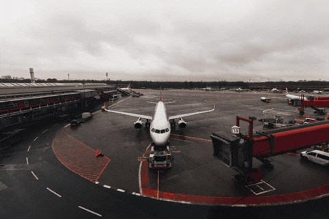 marco93899 giphygifmaker giphyattribution travel GIF