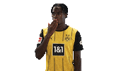 Borussia Dortmund Kiss Sticker by Bundesliga