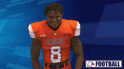 Cnfb GIF by Carson-Newman Athletics