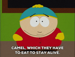 GIF by South Park 