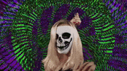donovan wolfington GIF by Topshelf Records