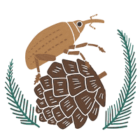 Christmas Celebrate Sticker