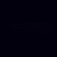 Neon Flashing GIF by Vegan-Supps