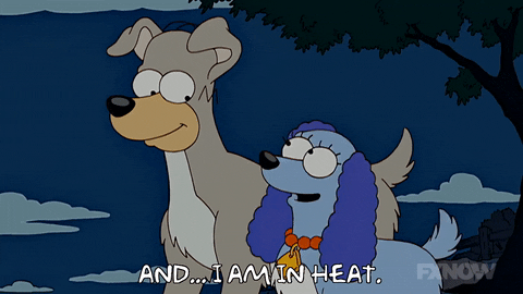 Episode 12 GIF by The Simpsons