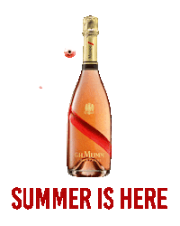 Summer Celebrate Sticker by G.H.Mumm Champagne