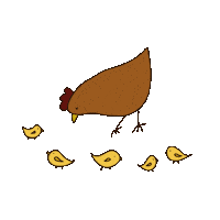 Chicken Sticker