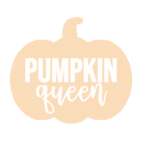 Sweater Weather Fall Sticker