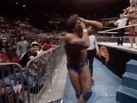 hulk hogan GIF by WWE