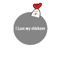 Chickens_gang love chickens poule chickensgang Sticker