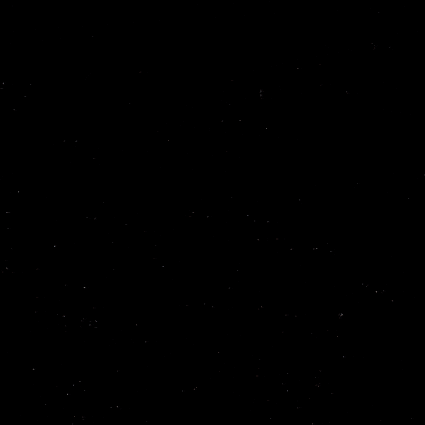 Celebration Hockey GIF by Eisbären Berlin