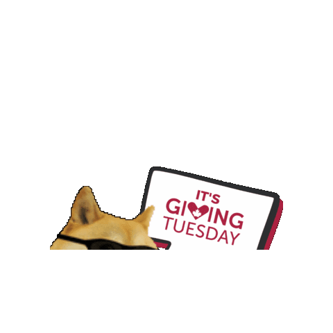 givingtuesdayca giphygifmaker givingtuesday givingtuesdayca Sticker