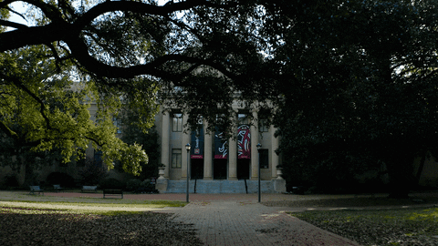 Campus Sc GIF by University of South Carolina
