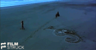 anna paquin beach GIF by FilmStruck
