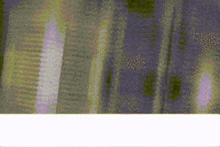 Isisch communism marx trot marxism GIF