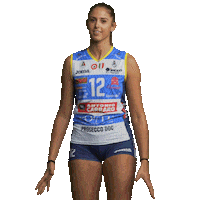 Volleyball Celebrate Sticker by ImocoVolley