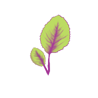 DerVeganeFlammkuchen vegan leaf blatt flammkuchen Sticker