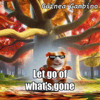 Sky Autumn GIF by Guinea Gambino